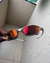 Juliet Plasma - Oakley Óculos de Sol