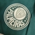 Palmeiras Corta Vento Verde Branco na internet