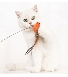 Brinquedo para gato pássaro interativo - tienda online