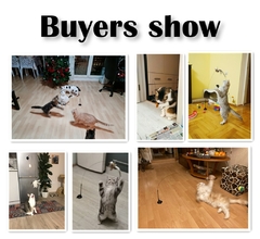 Brinquedo para gato pássaro interativo en internet
