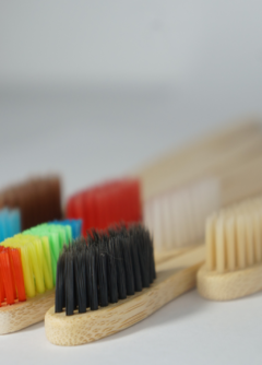 Escova de Dentes - comprar online