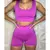 Conjunto Short e Top Academia Cintura Alta Suplex - Lojas Angelini | Frete Grátis para Todo Brasil