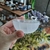 Bowl de Selenita - Tradicional - Mini 7,5cm - comprar online