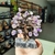 BONSAI DE AMETISTA - comprar online