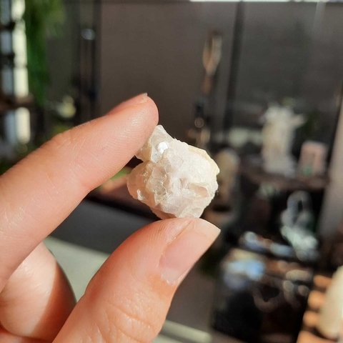 MUSCOVITA - BRUTO (UNID)