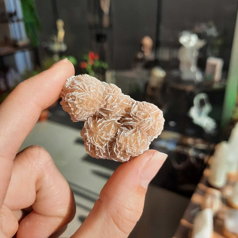 ROSA DO DESERTO - BRUTO (UNID)