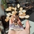 BONSAI DE CITRINO