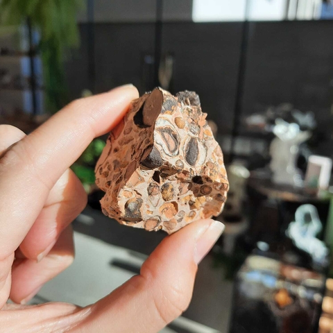 LEOPARDITA - BRUTO (UNID)