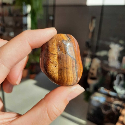 OLHO DE TIGRE - ROLADO (UNID)