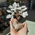 BONSAI DE SELENITA - comprar online