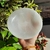 BOWL DE SELENITA - TRADICIONAL - G - loja online