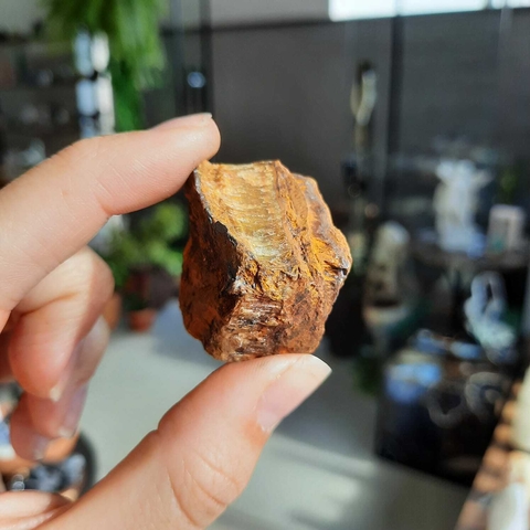 OLHO DE TIGRE - BRUTO (UNID)