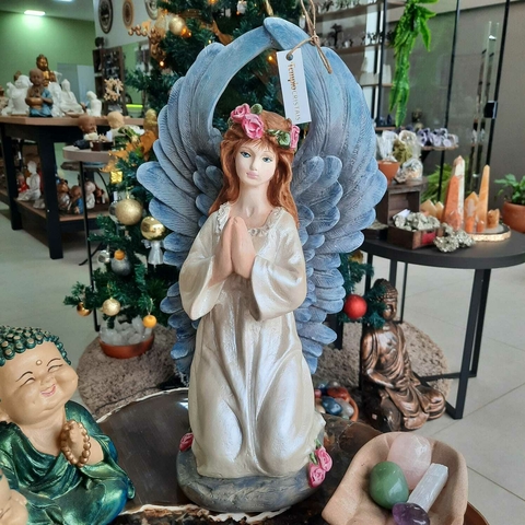 ANJO ASAS AZUIS G - TS