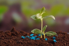 ADUBO SUPERGARDEN JARDINS 10-05-07 500G - loja online