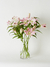 Ramo Lilium en internet