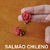 BRINCO BOTÃO DE ROSA COM CRISTAIS - SALMÃO CHILENO