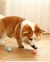 Bolinha Inteligente para Pets - S Store