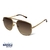 Óculos de Sol - BC - comprar online