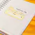 Planner Empreenda - Permanente - F. Colors - Papelaria da Dai