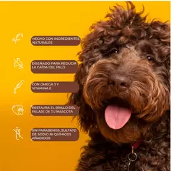 Arm & Hammer Shampoo para Perro Control Caída de Pelo, aroma Guayaba. - comprar en línea