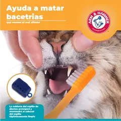 Arm & Hammer Kit Pasta Dental con Cepillo para Gato, Elimina Sarro y Mal Aliento, Sabor Atún, 3pzas - comprar en línea