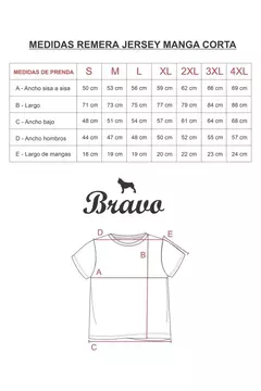 REMERA BRAVO - BÁSICA CON BORDADO CHOCOLATE - Blow
