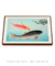 Common and Golden Carp por Ohara Koson na internet