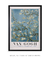 Flor de Amêndoa por Van Gogh Art Poster - comprar online