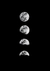 Moon Phases Black