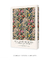 Pássaros, borboletas e abelhas entre várias flores de William Morris - Patroa Studio