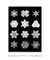 Snowflakes by Wilson Bentley - Patroa Studio