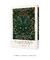 Tulipa de William Morris - loja online