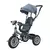 Triciclo paseo infantil 360 en internet