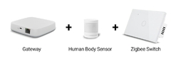 Interruptor de luz de parede WiFi Smart Touch - comprar online