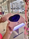 Lámpara recargable 72W SML profesional inalámbrica