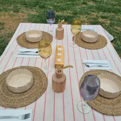 | Mantel Rayas | Rosé & Crudo - comprar online