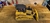 BULLDOZER rc 1/14 - comprar online