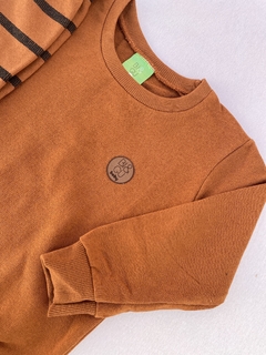 CONJUNTO MOLETOM PELUCIADO - TERRA COTA LISTRADO - comprar online