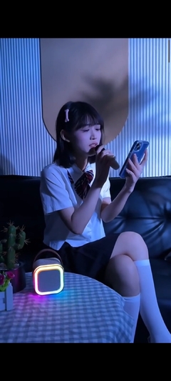 PARLANTE BLUETOOTH CON MIC KARAOKE Y LUCES - MAIN STREET ELECTRONICOS