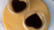 Imagem do banner rotativo Coffee Cafés Especiais