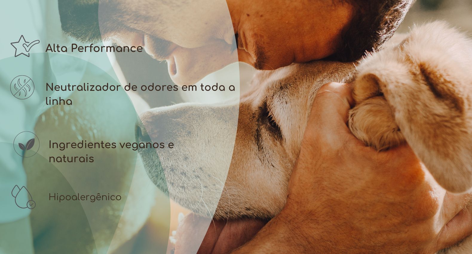 Banner rotativo 2
