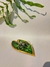 Caladium Verde - comprar online