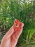 Capinha Bic pequeno olho - comprar online