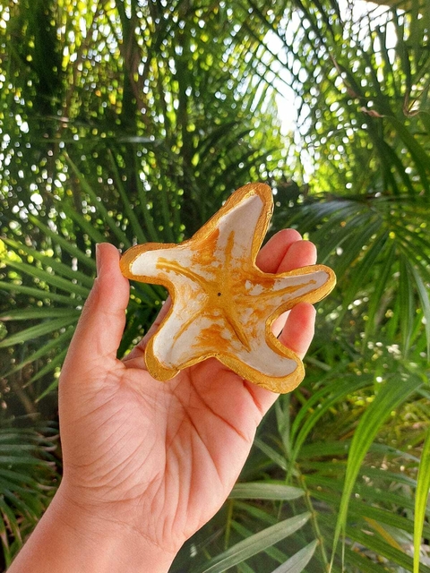 Incensário estrela do mar