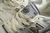 NEW BALANCE 550 na internet