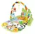 Alfombra Gimnasio Piano Didáctico Bebe 4040 Verde Love - comprar online