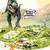 Pista de dinosaurios en internet