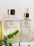 KIT JARDIM TROPICAL - comprar online
