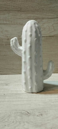 Cactus 20cm