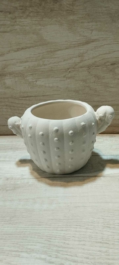 Maceta Cactus 10x10x16